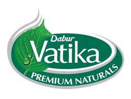 Picture for manufacturer VATIKA