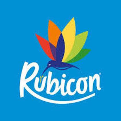 Picture for manufacturer RUBICON