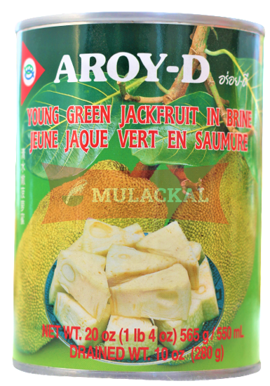 AROY-D Green Jackfruit in Water 565g