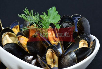 Mussel whole cooked 40/60 1kg