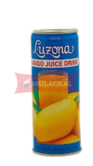 LUZONA Mango Juice 30x240ml