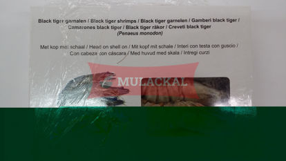 Black Tiger Shrimps HOSO 16/20 10x1kg